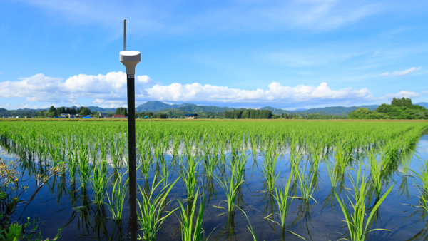 水田の水位を検知する農業IoTサービス向けセンサー　7月末に販売開始　Braveridge