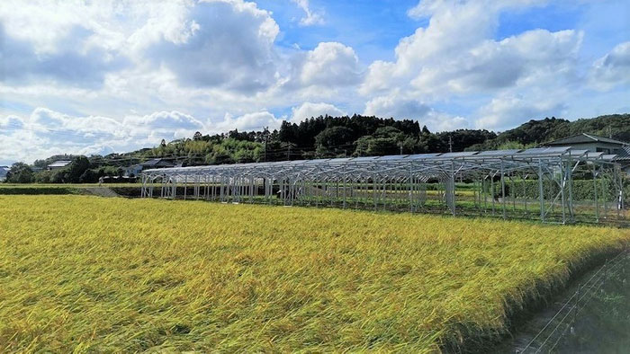 新たな営農型太陽光発電設備　千葉県長生郡長南町に誕生　FARMIGO