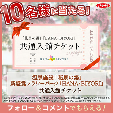 「心と体が喜ぶ♪HANA・BIYORIでサンパチェンスびより」キャンペーン実施　サカタのタネ