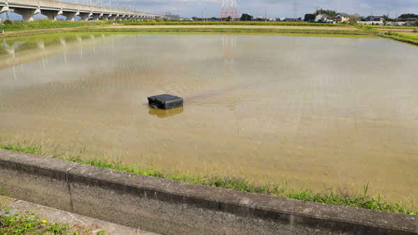 作業風景