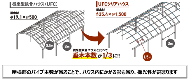 屋根部のパイプ本数が減ることで、ハウス内にかかる影も減り、採光性が高まる