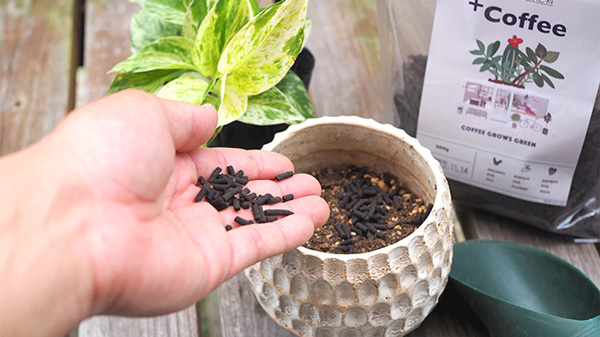 コーヒーの抽出かすを再利用　有機質肥料「＋Coffee」「GARDEN」発売　liveR