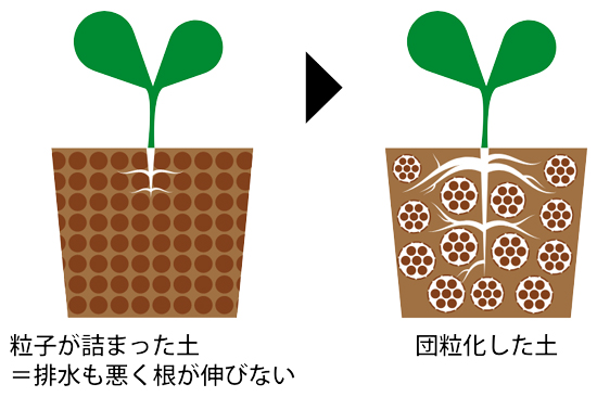 夏の干ばつ対策に　土壌保水率アップ「EB-a」を販売開始　井澤商店