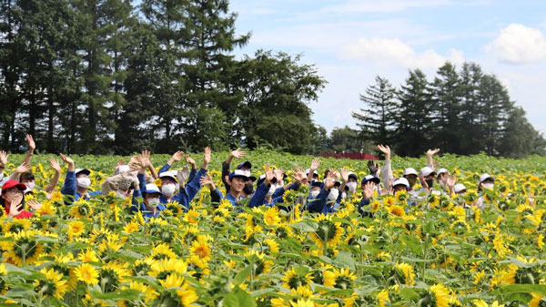 北海道更別農業高校70周年記念「ひまわりアート」完成　三菱マヒンドラ農機