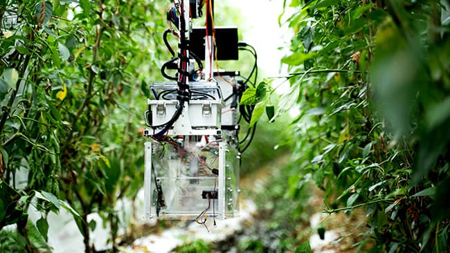 国際特許申請中の収穫ロボット。空中をロープウェイの様に移動し、ハウス内の地面や障害物に影響されずに、ハウス全体を自由に巡回・収穫・データ収集できる