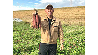 岐阜県で水田転作事業　ビール酵母由来の資材活用でサツマイモ収穫1.3倍に