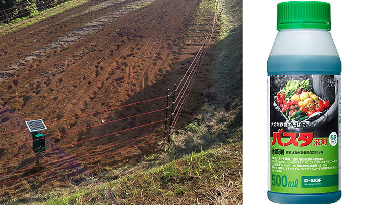 「バスタ液剤」が電気柵に沿って発生した雑草を効果的に防除