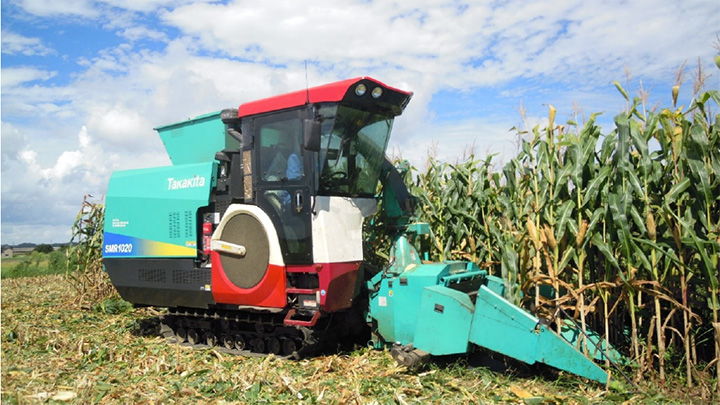汎用型飼料収穫機に装着したスナッパヘッドでトウモロコシを刈り取る様子