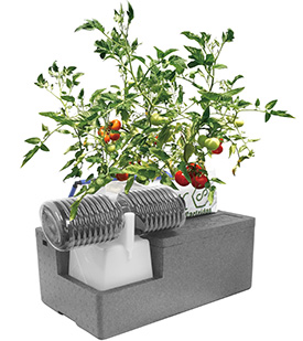 SoBiCオーガニックプランター2021年モデルの栽培イメージ