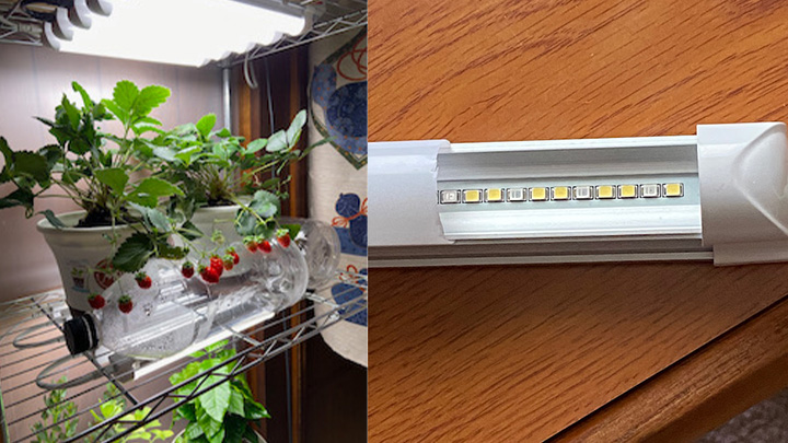 室内で簡単に植物を栽培できる「ライト」新発売　クール