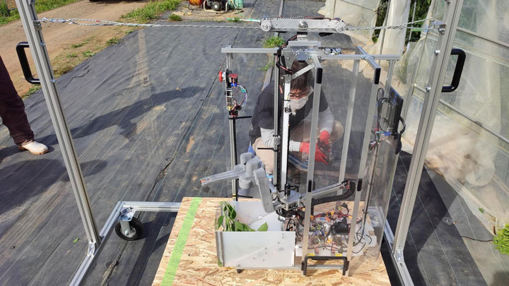日本各地へピーマン自動収穫ロボットを普及　大分県で実証実験を実施　アグリスト