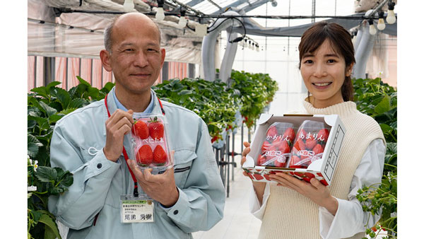 埼玉県農業技術研究センター 育種者の尾田さん（左）と食文化 の鈴木さん