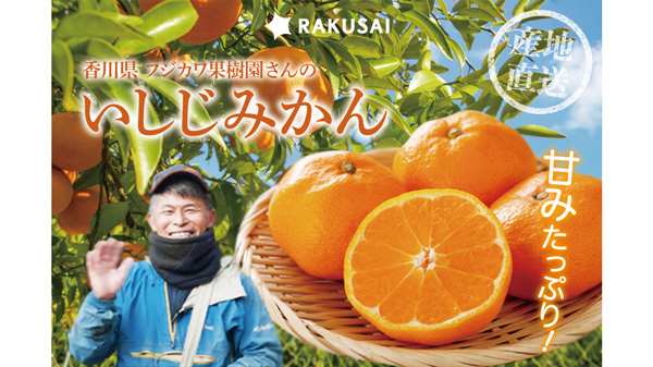 香川県フジカワ果樹園「いしじみかん」予約販売開始　RAKUSAI_01.jpg