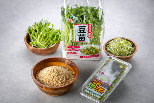 高成分野菜「ブロッコリー スーパースプラウト」と玄米を発芽させた「発芽米」がコラボ