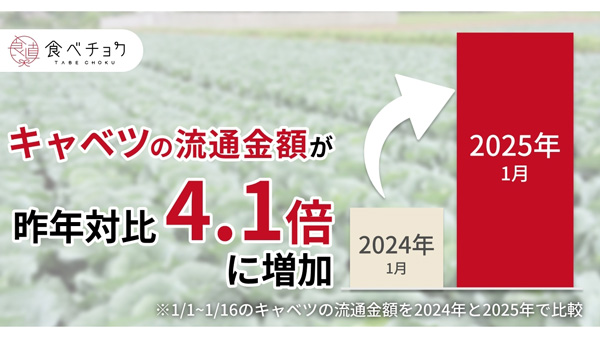 野菜価格高騰で産地直送の野菜を求める人が増加　特集ページ開設　食べチョク_01.jpg