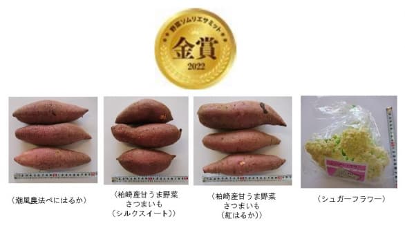 「野菜ソムリエサミット」12月度青果部門　金賞4品など発表　日本野菜ソムリエ協会