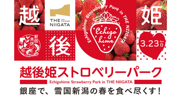 新潟県産いちご「越後姫」東京・銀座で食べ放題イベント開催