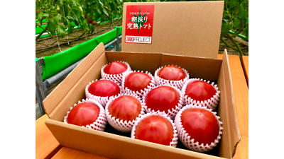 「さやまるプロジェクトの朝採り完熟トマト」販売開始　日本郵便
