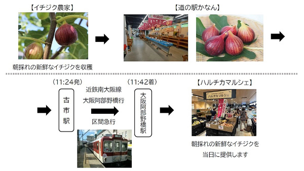 大阪・河南町「朝採れイチジク」近鉄電車による貨客混載輸送「ハルチカマルシェ」で販売.jpg