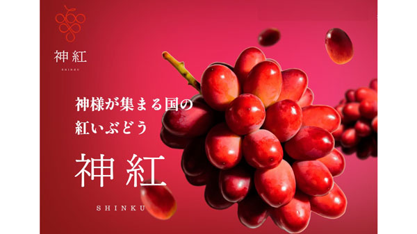 島根県オリジナルぶどう「神紅」フェア　日比谷しまね館で開催