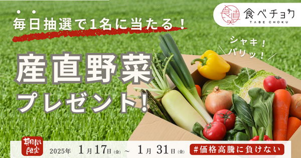 野菜価格高騰で産地直送の野菜を求める人が増加　特集ページ開設　食べチョク_02.jpg