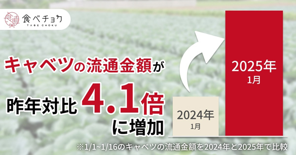 野菜価格高騰で産地直送の野菜を求める人が増加　特集ページ開設　食べチョク_01_2.jpg